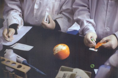 2013年3月28日，北京智云達(dá)科技有限公司食品安全快檢實(shí)驗(yàn)室，技術(shù)員正在檢測(cè)橙子表皮的農(nóng)藥殘留是否超標(biāo)